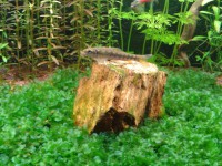 /album/fotogaleria/a2015-03-15-17-22-37-jpg/